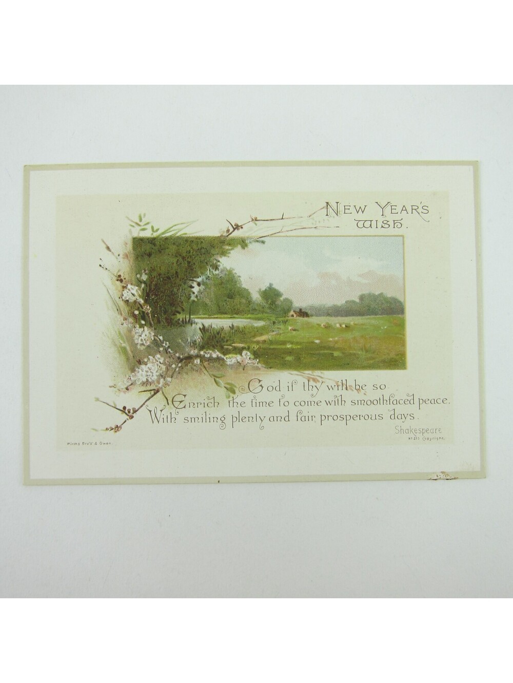Victorian Greeting Card New Years Wirths Bros & Owen Cabin Field Flowers Antique